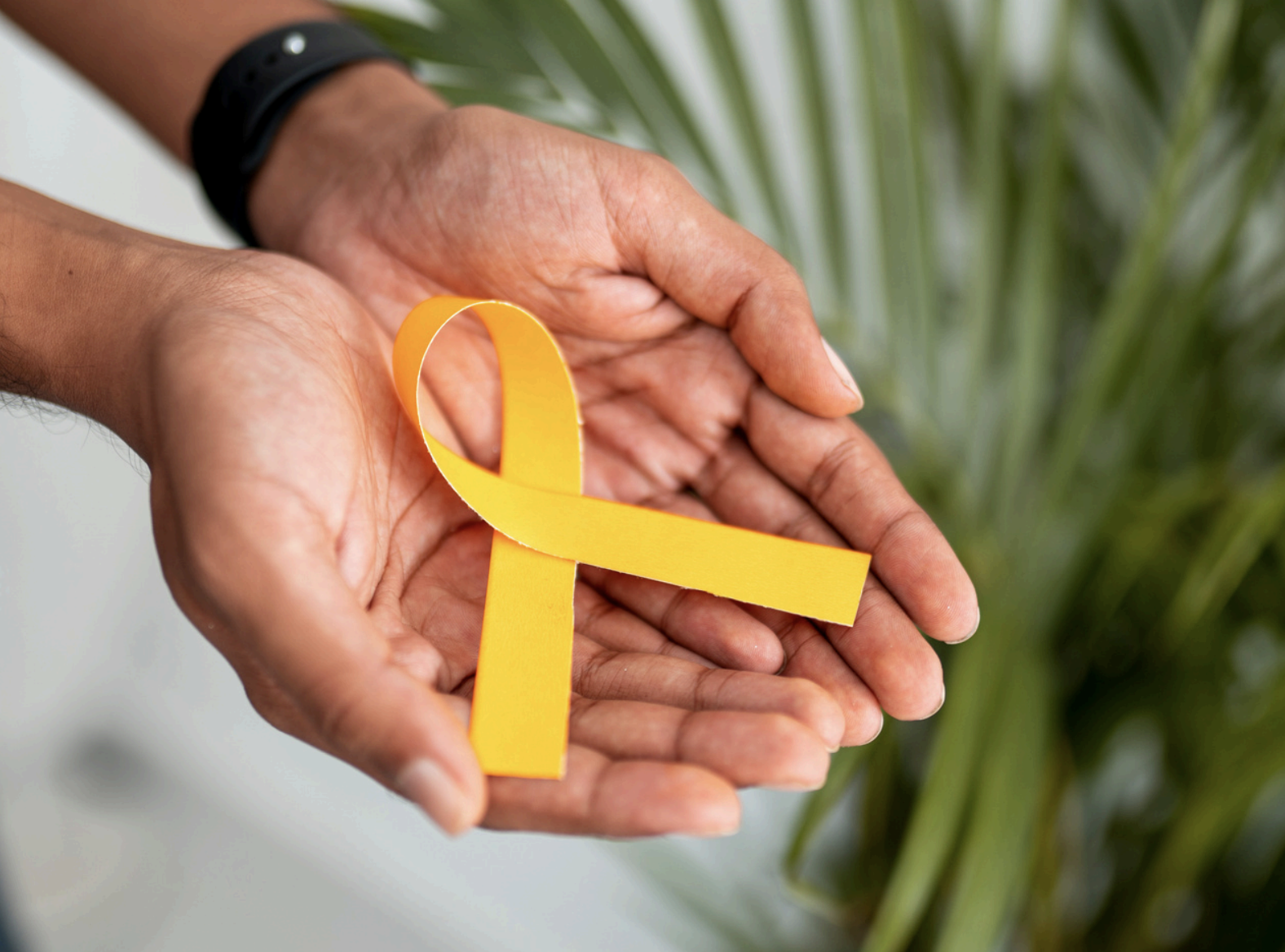 The Proper Standards in Endometriosis Care: Focused Surgery & Holistic Healing